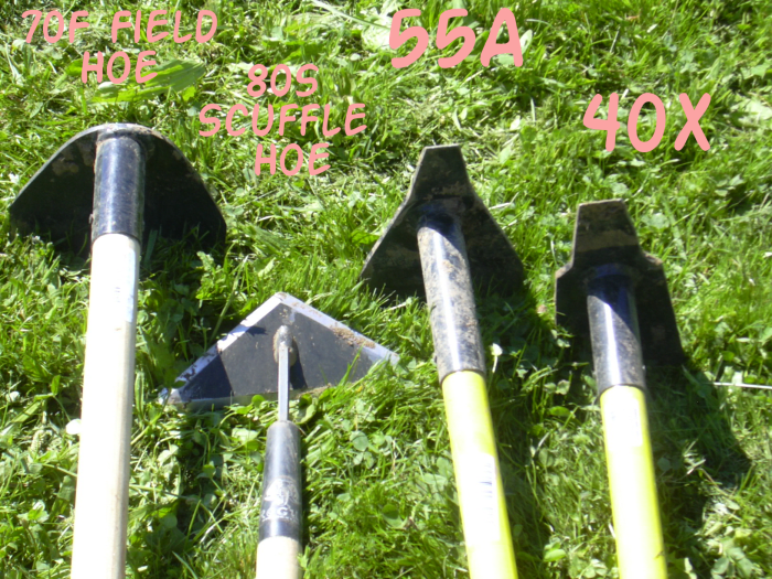 My four workhorse hoes. The fifth one I'd bought (a general garden hoe) remained in the garage for this project.