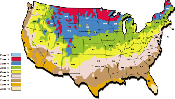 As you can see from this map, bleeding heart plants are hardy in almost all of the growing zones in the United States.