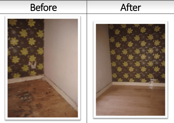 The landlord was going to just throw away this laminate floor before we got it looking like new again.