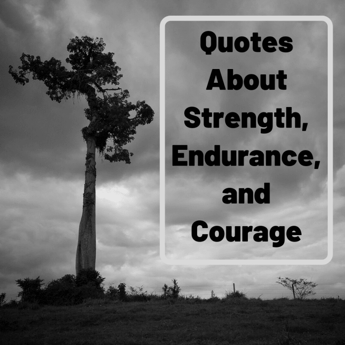 Discover some inspirational and motivational quotes related to strength, perseverance, toughness, and courage.