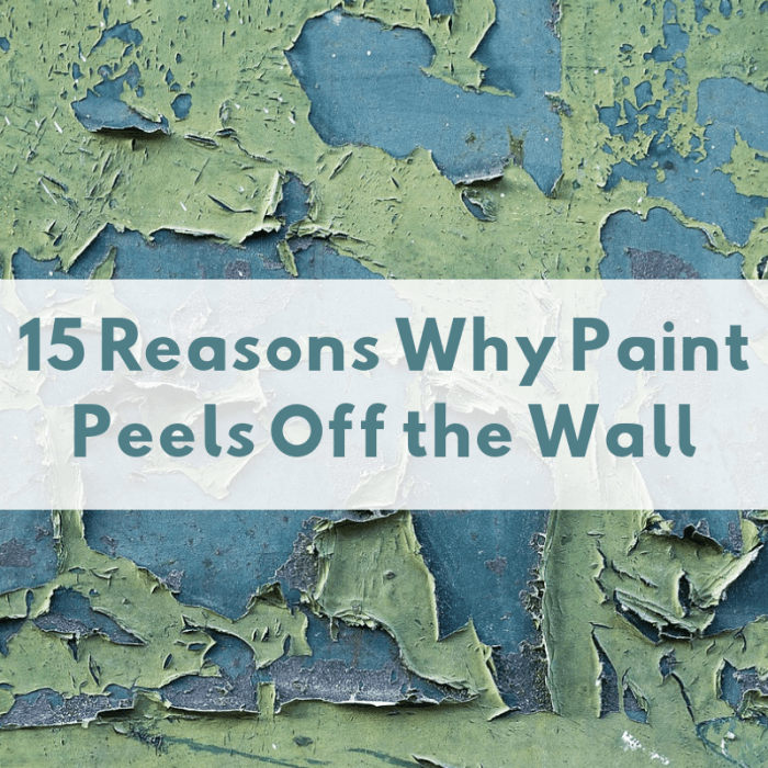 There are many factors that can cause paint to peel off your walls, floors, or ceiling. Here are a few.