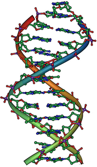 Some forms of hearing loss are genetic, while others have environmental causes.