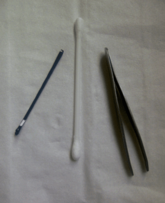 How to Remove an Insect From Your Ear YouMeMindBody