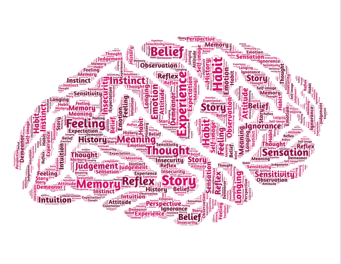 A person with borderline personality disorder often distorts facts to fit how they feel about something.