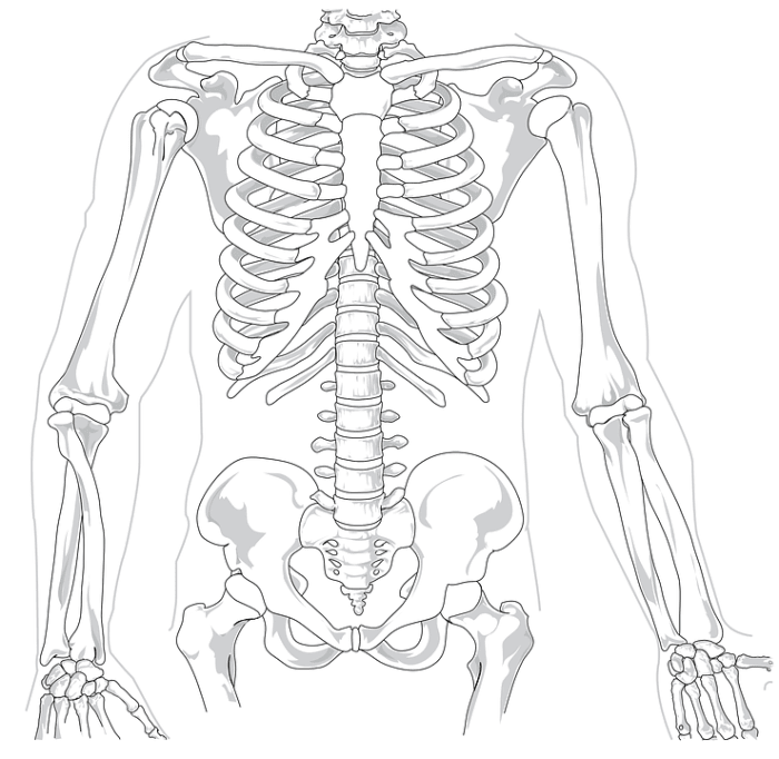 Sacroiliac Joint Dysfunction, Iliac Apophysitis, Trauma - Iliac Crest Contusion, Iliolumbar Syndrome, Iliotibial Band Syndrome, Piriformis Syndrome, Gluteus Medius Pain