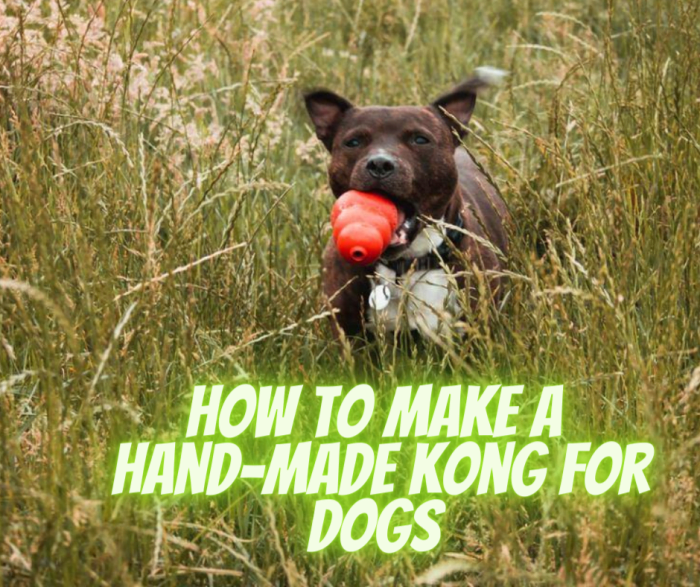 things to put in kongs for dogs