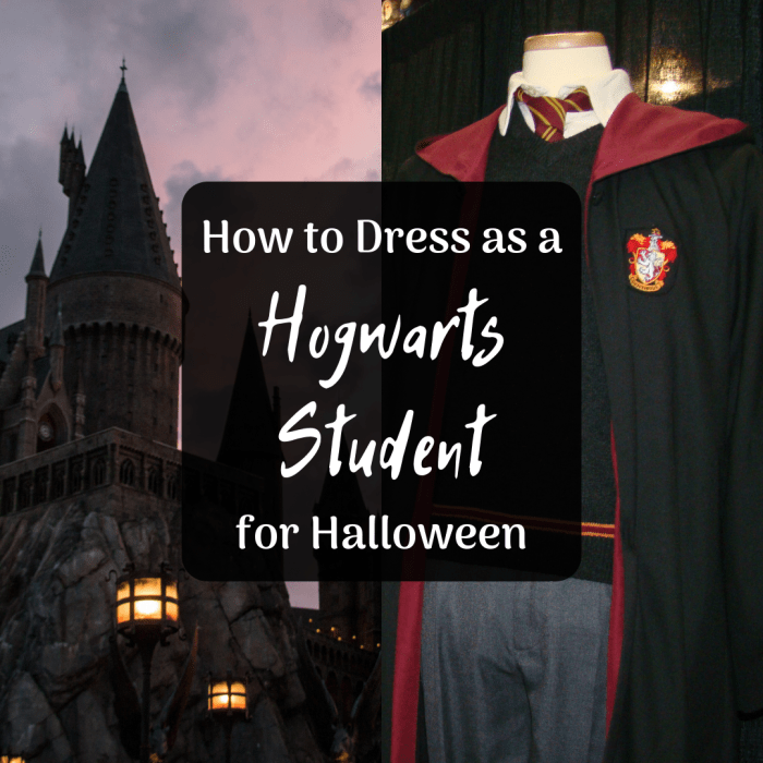 Get ideas for DIY Hogwarts student uniform costumes for women and men!