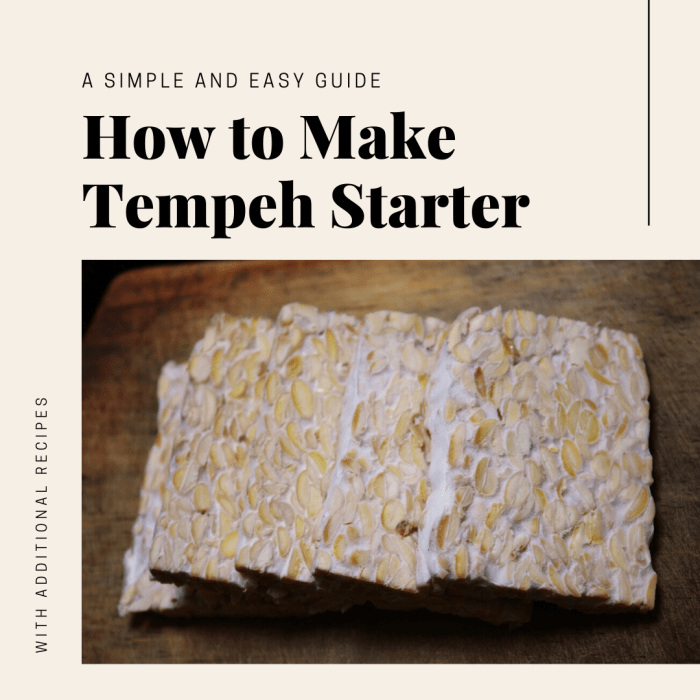 This guide will show you how to make your own tempeh starter and also provide recipes and tips for how to incorporate the versatile meat substitute into your cooking.