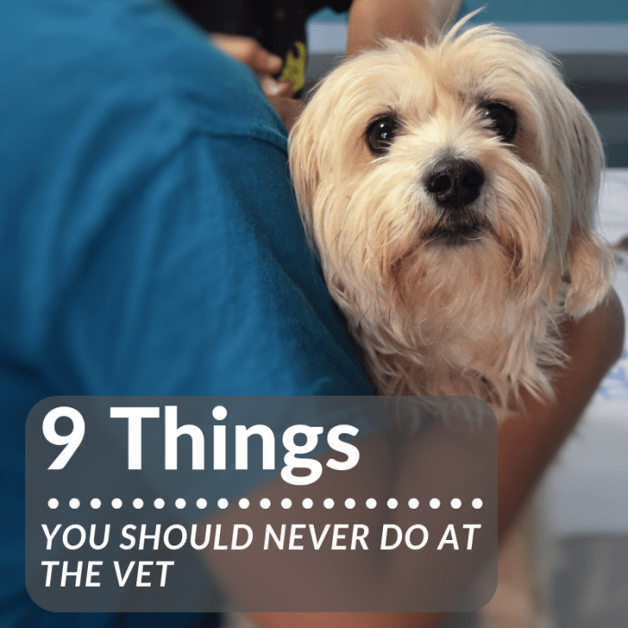 If you want the best care possible for your furry companion, here are 9 behaviors you should avoid when visiting your veterinarian's office.