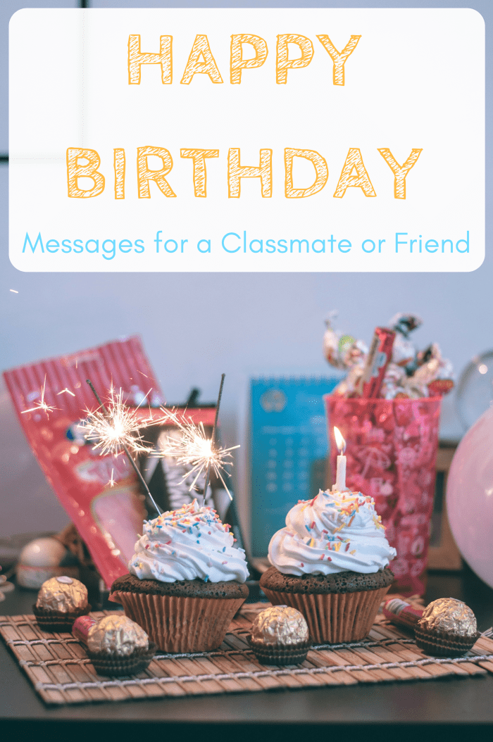 Happy Birthday Wishes for a Classmate, School Friend, or Roommate ...