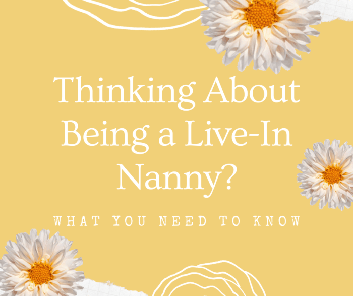 Want To Be A Live In Nanny Read This First ToughNickel Money   Want To Be A Live In Nanny Read This First 