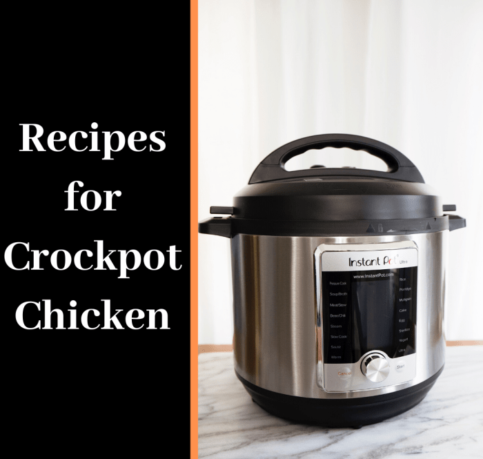Crockpots are a versatile tool. These great recipes demonstrate how these tools can be used to their full potential.