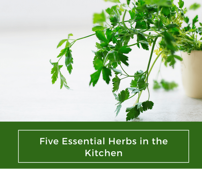 Five Essential Herbs in the Kitchen Delishably Food and Drink