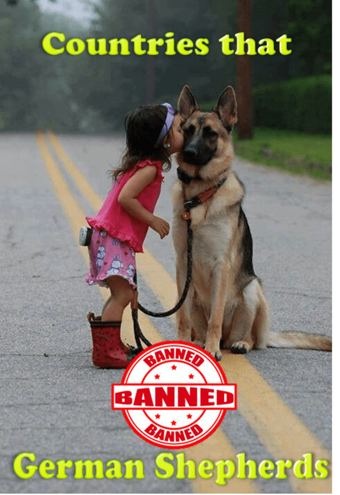 german-shepherds-are-banned-or-restricted-in-10-countries