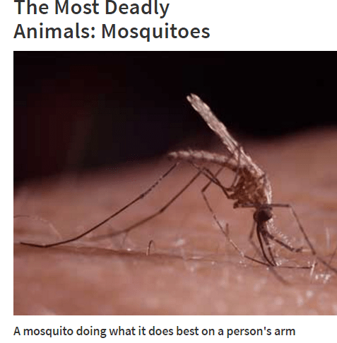 Mosquito bites result in the deaths of more than 1 million people every year. The majority of these deaths are due to malaria. The World Health Organization estimates that between 300 and 500 million cases of malaria occur each year.