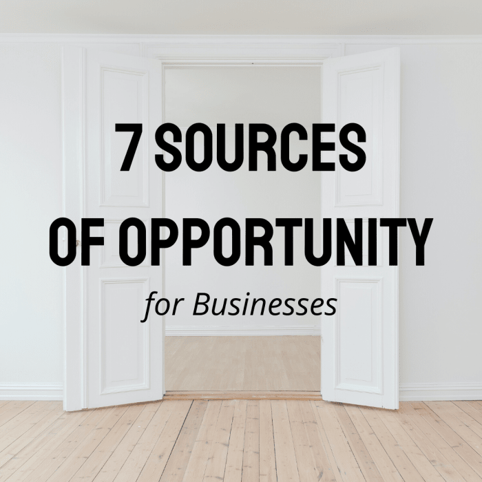 Discover the seven sources of opportunity as laid out by Peter Drucker. See how they might apply to your business.
