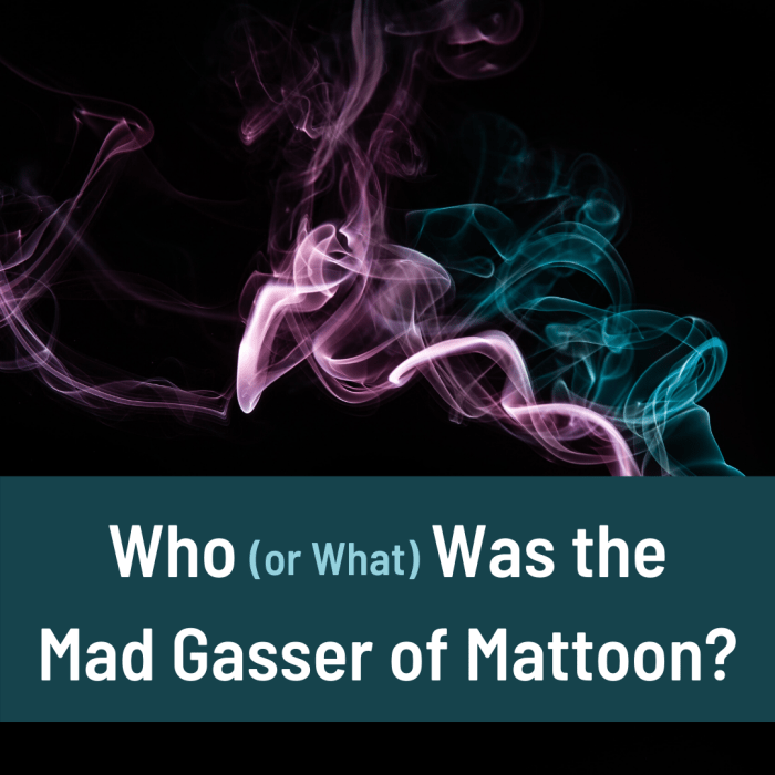 Learn about the Mad Gasser of Mattoon and explore some possible explanations for the gassing incidents in this city.
