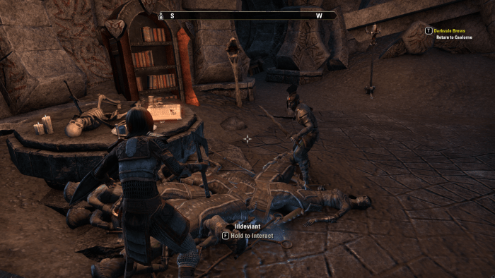 A sizeable heap of unique enemies, the casualties of player farming in the Iliath Temple Caves in “The Elder Scrolls Online”.
