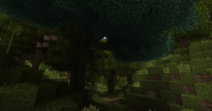 The darker atmosphere caused by the new trees makes forest a lot more interesting to explore. But be warned, it also means monster are much more likely to appear at any time of day.