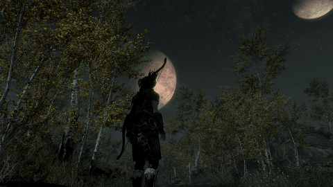 Don't miss out on the breathtaking sites that Skyrim has to offer. A walk in the woods can turn a routine quest into a memorable journey.
