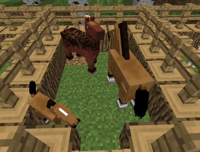 Horses can be bred to produce different color patterns and skill levels.