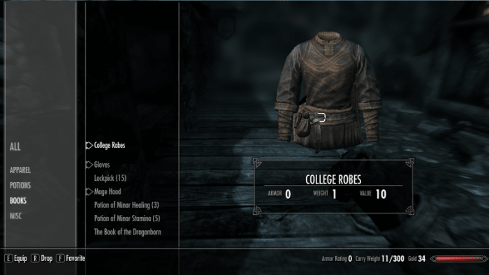 The default Skyrim User Interface as designed by Bethesda showing your characters equipment.