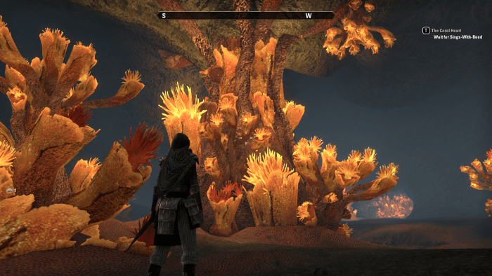 The Coral Heart, a massive, living organism that's central to the quest of the same name in The Elder Scrolls Online.