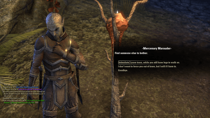 A Mercenary Marauder, one of many troublemakers patrolling Stormhold during the Unwelcome Guests quest in "The Elder Scrolls Online".