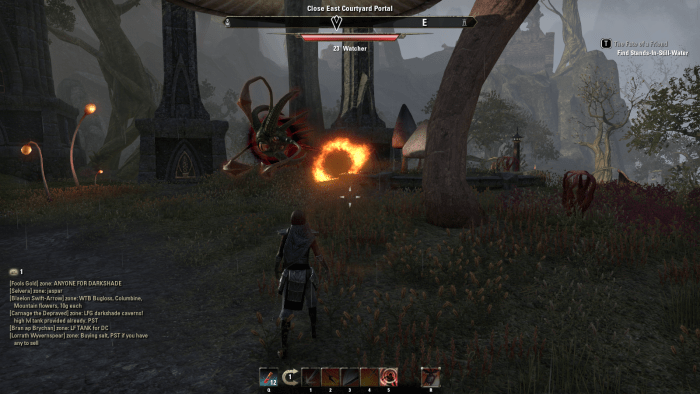 Closing a portal leading to a demonic realm during The Wounds in the World quest in The Elder Scrolls Online.