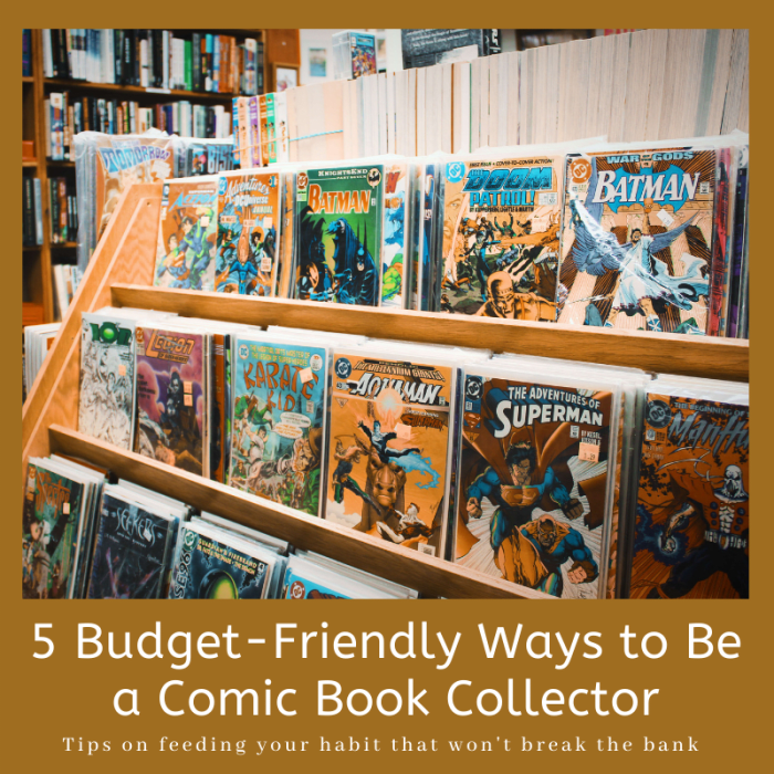 This article will break down five budget-friendly methods for keeping up with your passion for comic books.