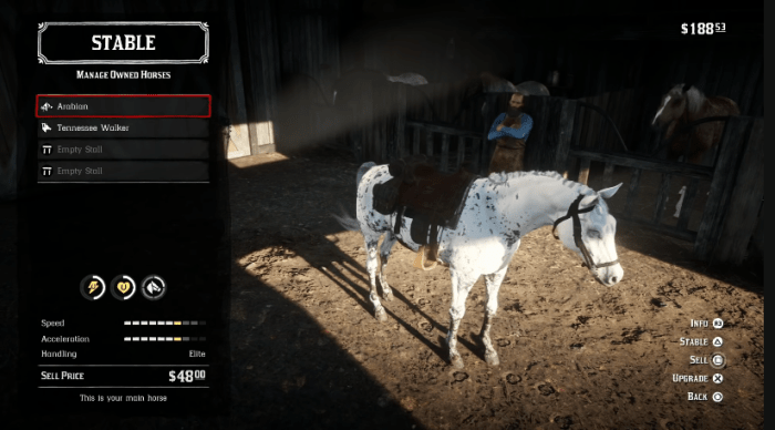 How to Get the Best Horses in 