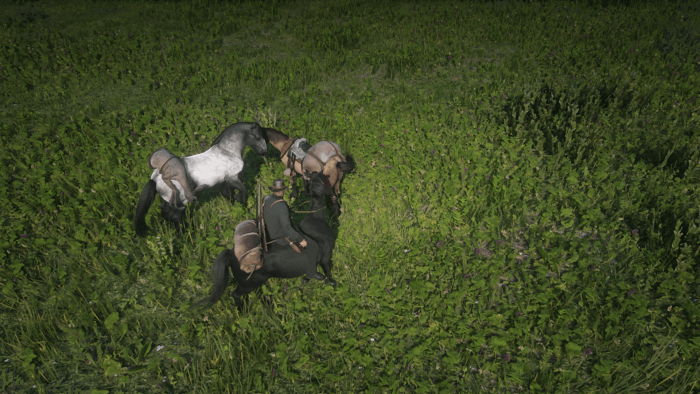 If you're REALLY into hunting consider breaking (or stealing) a couple extra horses. Just remember that a saddle is required for small animals, and carcasses will rot over time. Bond Level 1 is also a good idea.