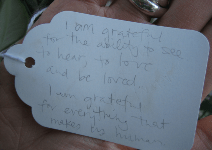 Keeping a gratitude journal is a fantastic way to develop a deep appreciation for everything in lifeâboth big and small.