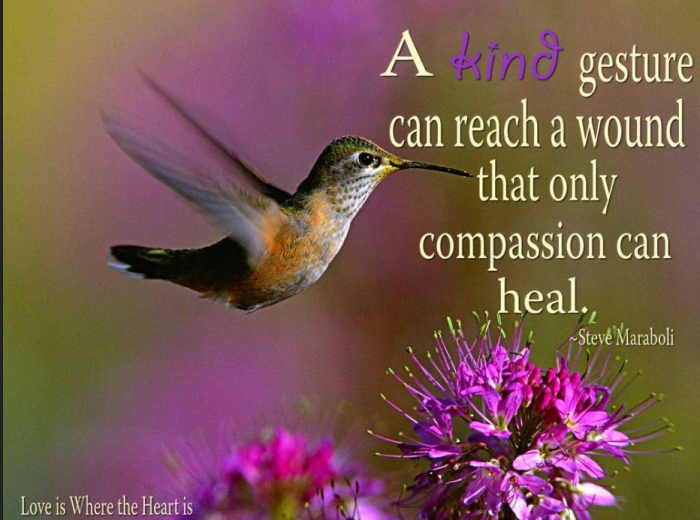 If you're depleted physically, emotionally, or spiritually, you have no compassion to give.