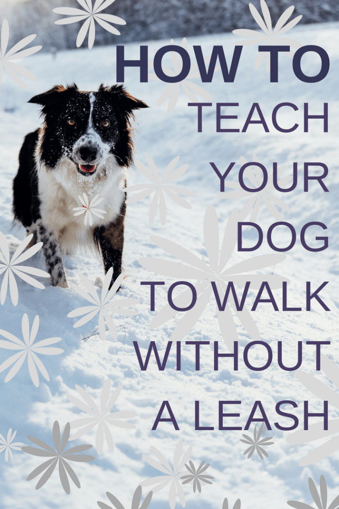 It will take a little training, but you can do it.