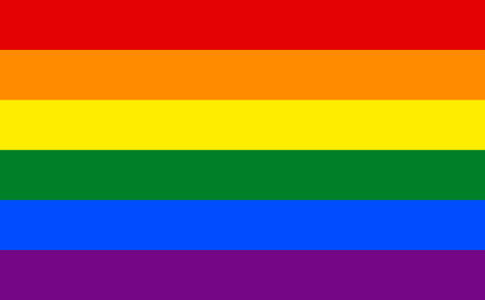This flag is recognized by many as the LGBT+ flag. Many individuals use this as an umbrella flag for many different identities.