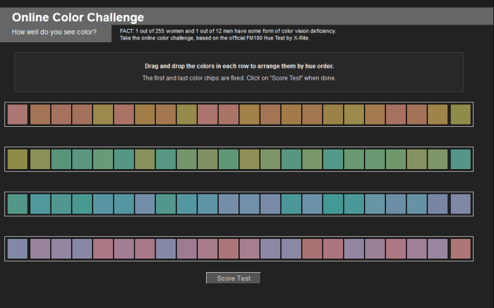 This is a screen shot of the Farnsworth Munsell 100 hue test a color blind test online. I completed it myself and scored a 7 (zero is a perfect score).