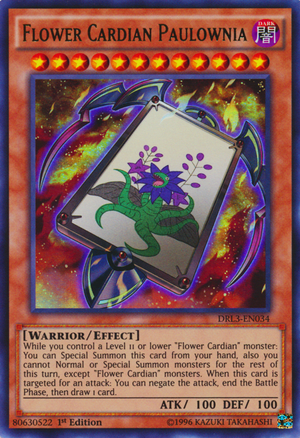 Yo dawg, I heard you liked playing card games, so I made cards with cards in cards so you can card while you card! Sorry, I had to bring the meme back for this joke...