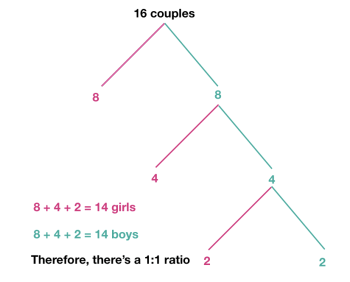 No matter the amount of couples you start with, you get the same outcome; a 1:1 ratio of baby girls to baby boys.