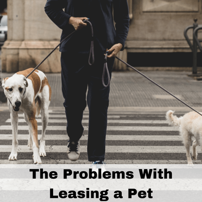 Be wary about pet leasing, you have to be careful about who you want to trust as a leaser or a lessee.