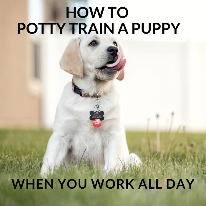 Potty training can be a challenge if you work all day.