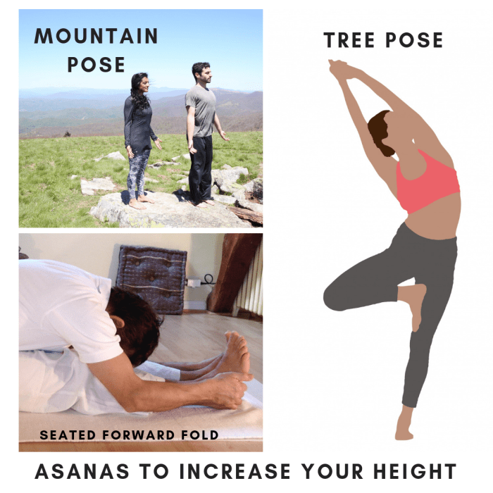 Practicing these asanas daily may help to extend your overall body length.
