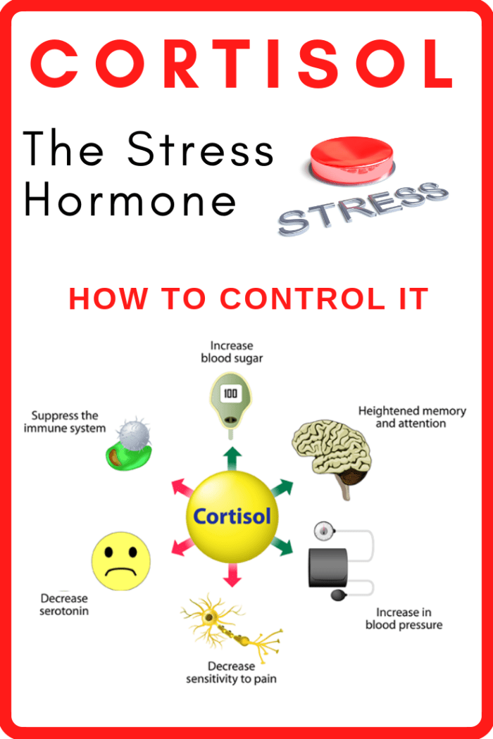 Anxiety and the Dangers of Stress Hormones to Our Health - RemedyGrove ...