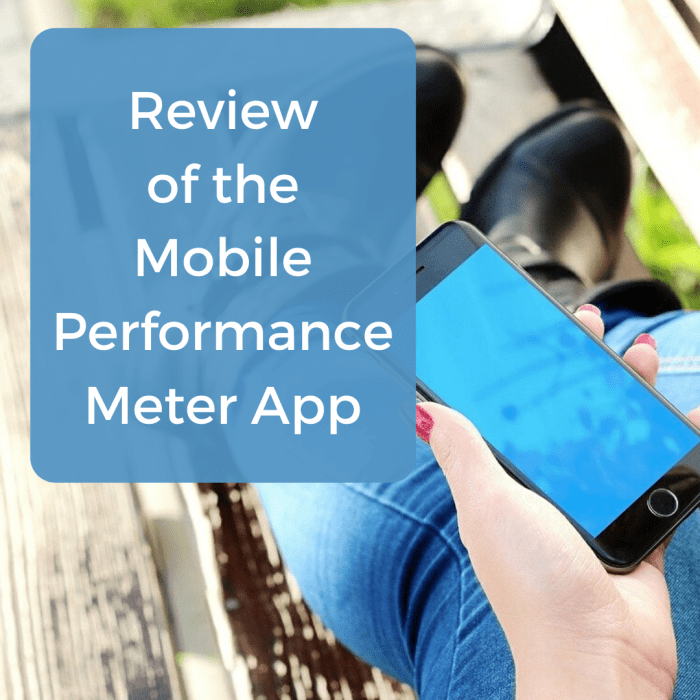 Find out what it's like to use the Embee MPM app to earn money passively via your smartphone. See some pros and cons of using the app.