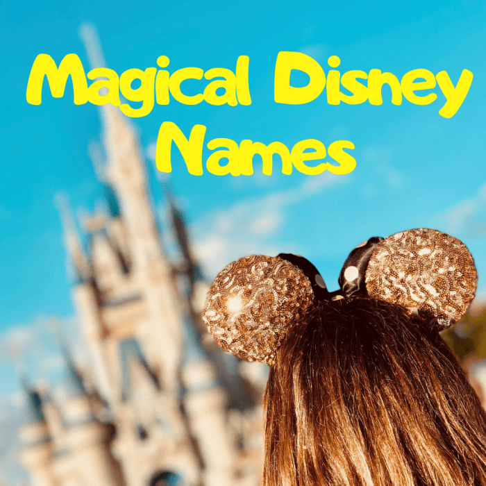 100 Best Disney Character Pet Names for Dogs and Cats - PetHelpful - By ...