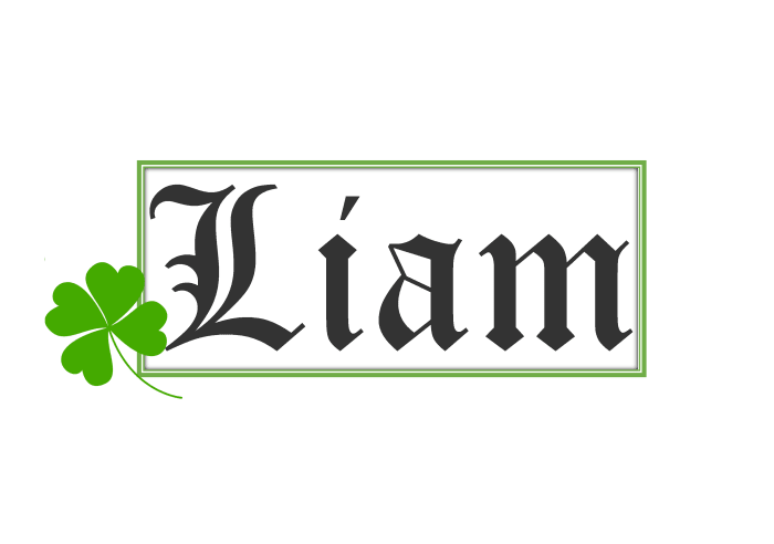 Generally, Liam is an Irish name. The most interesting thing about the name Liam is that of its long roots in the Germanic culture.