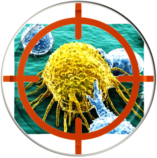 Targeted cancer therapy is a type of cancer treatment that targets the changes in cancer cells and selectively kill cancer cells with more precision and fewer side effects.