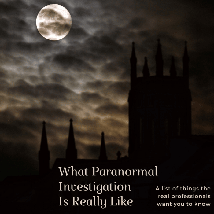 This article will bust myths and provide facts about what it's really like to be a paranormal investigator.