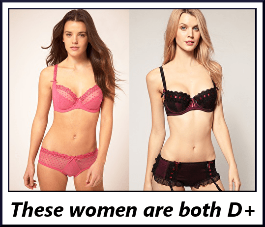 The differences between these women's underbust measurements (band size) and bust measurements are about 5 inches, which puts them in a DD cup.