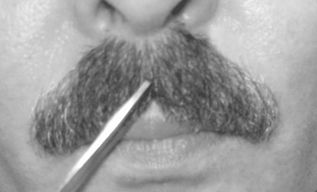 The philtrum: Cut a nick into the center of the mustache at the bow of the lip.
